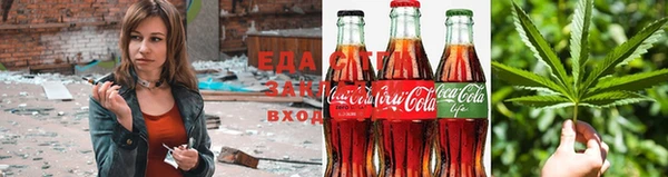 мдпв Михайлов