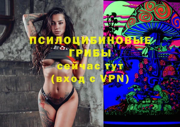 крисы Мегион