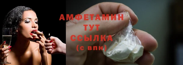 крисы Мегион