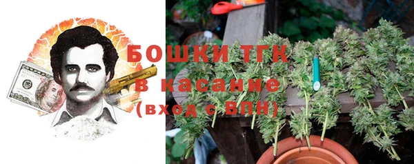 крисы Мегион