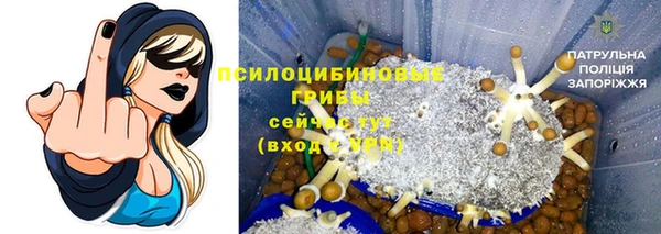 стаф Михайловка