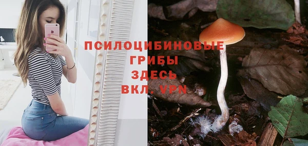 трава Медногорск