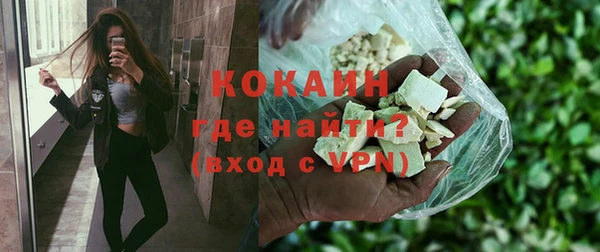 крисы Мегион