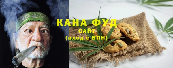 мдпв Михайлов
