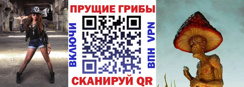 Псилоцибиновые грибы MAGIC MUSHROOMS  Тбилисская 